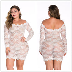 Sheer Lace Mini Dress for Confident Style and Allure