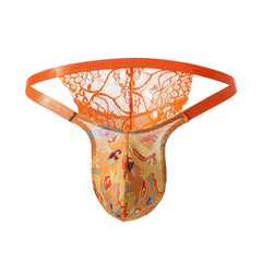 Lace Mesh Flirting Briefs