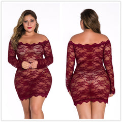 Sheer Lace Mini Dress for Confident Style and Allure