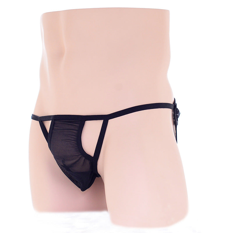 Multi-Color Transparent Briefs