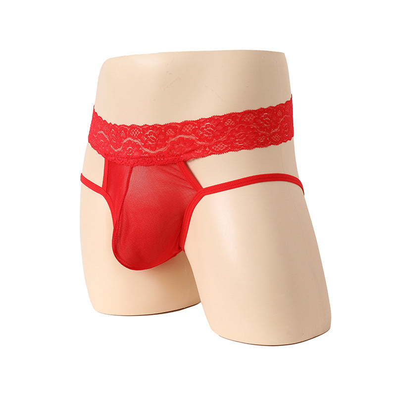 Lace Seduction Mesh Flirting Briefs
