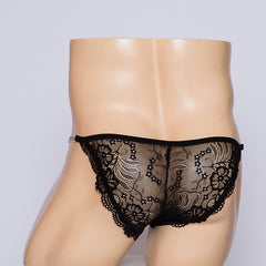 Lace Perspective Mesh Panties