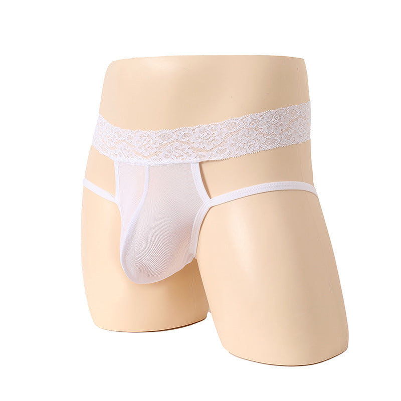 Lace Seduction Mesh Flirting Briefs