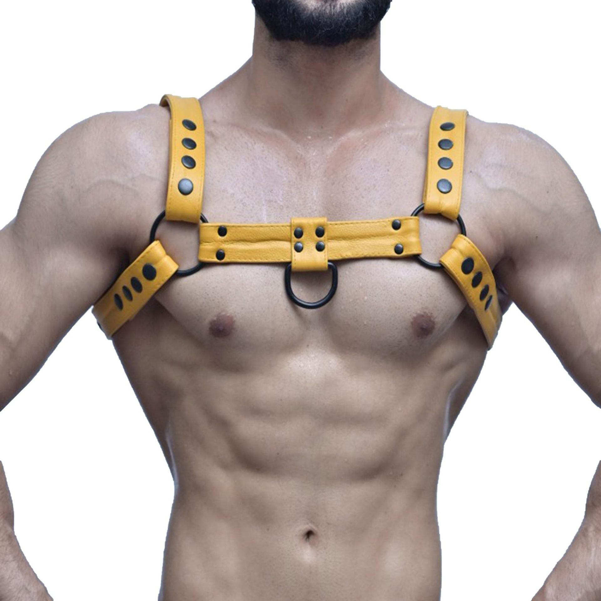 Stage Binding Leather Body Straps