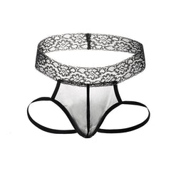Lace Seduction Mesh Flirting Briefs