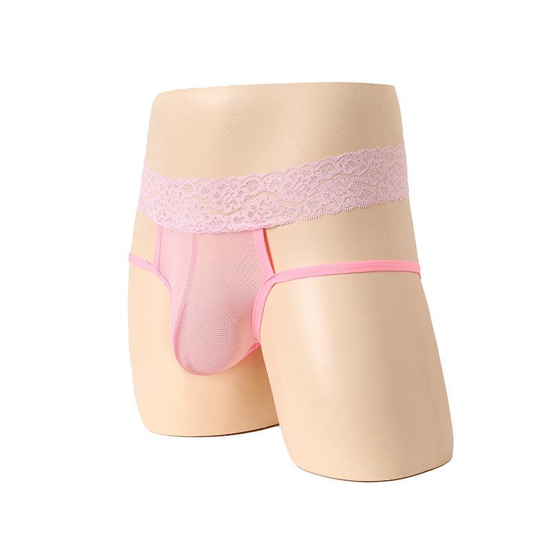 Lace Seduction Mesh Flirting Briefs